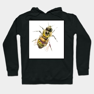 HONEY BEE Hoodie